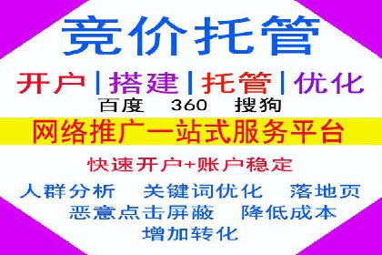 推广竞价策略优化：借鉴经典案例提升效果